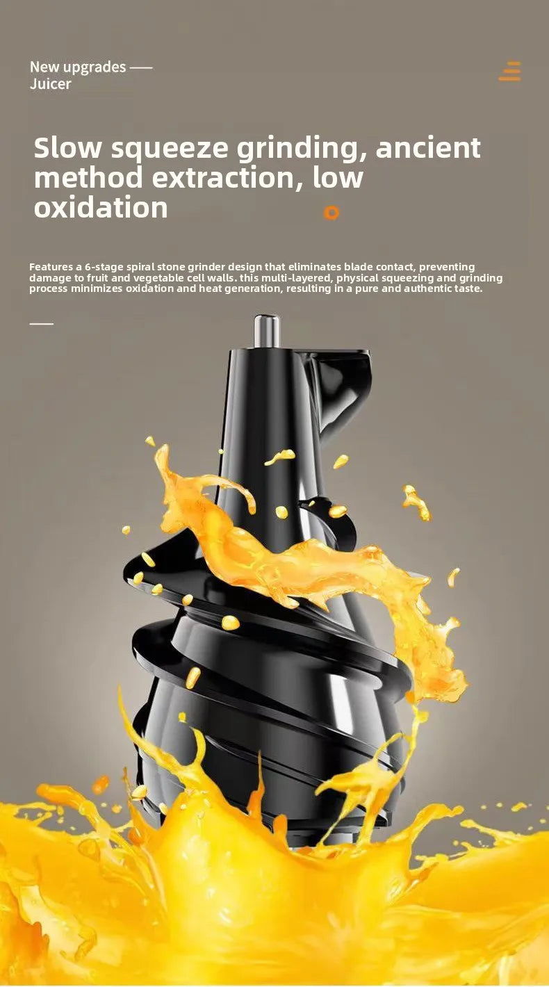 2L Stainless Steel Slow Juicer