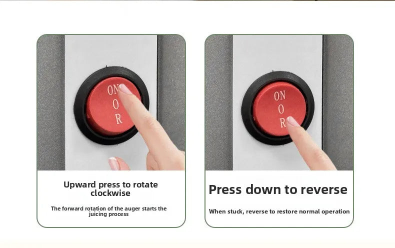 2L Stainless Steel Slow Juicer