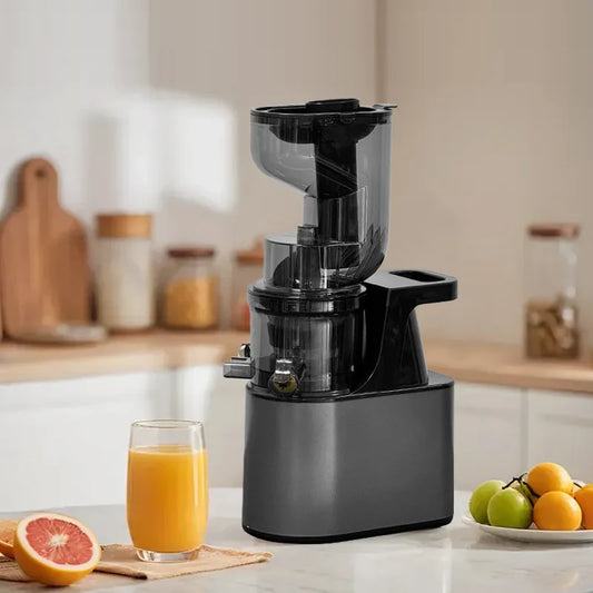 2L Stainless Steel Slow Juicer