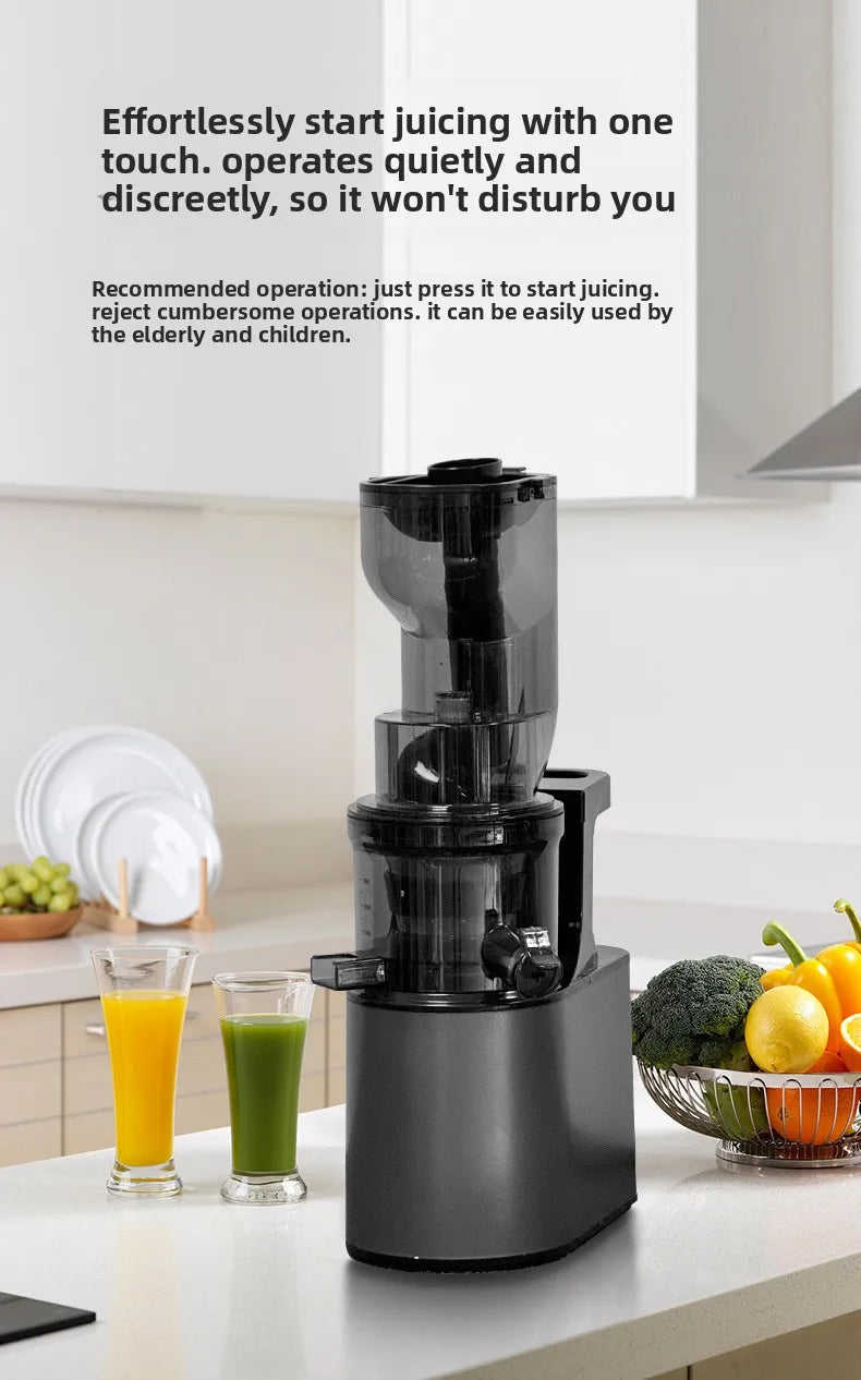 2L Stainless Steel Slow Juicer