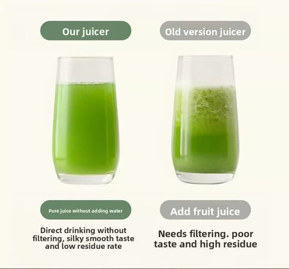 2L Stainless Steel Slow Juicer