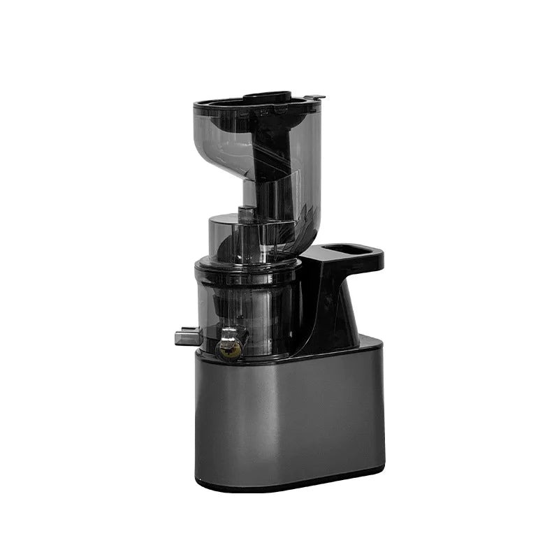 2L Stainless Steel Slow Juicer