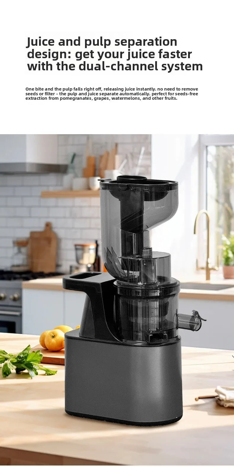 2L Stainless Steel Slow Juicer