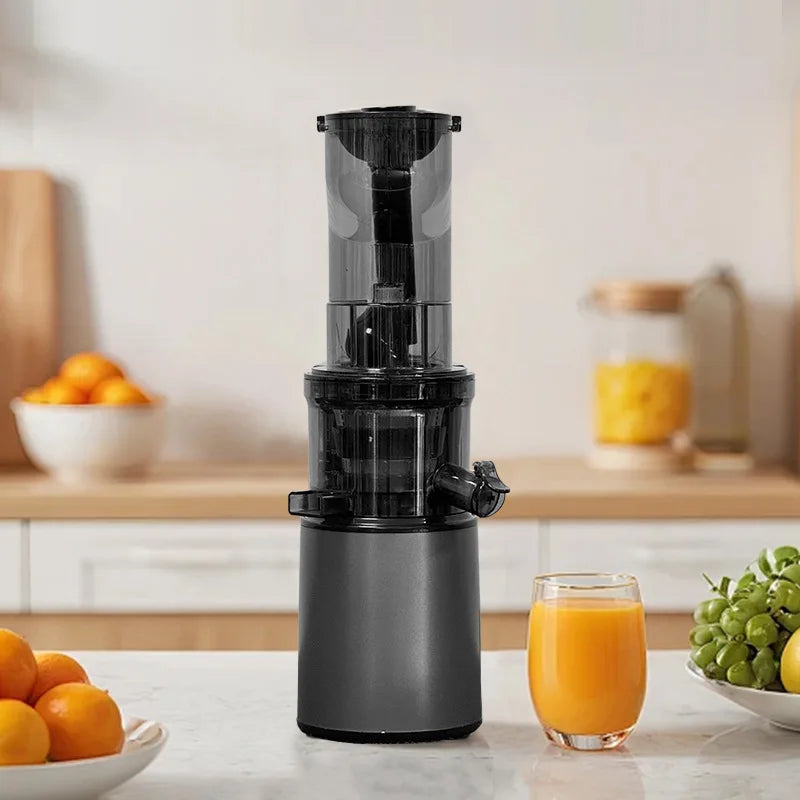 2L Stainless Steel Slow Juicer
