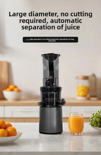 2L Stainless Steel Slow Juicer